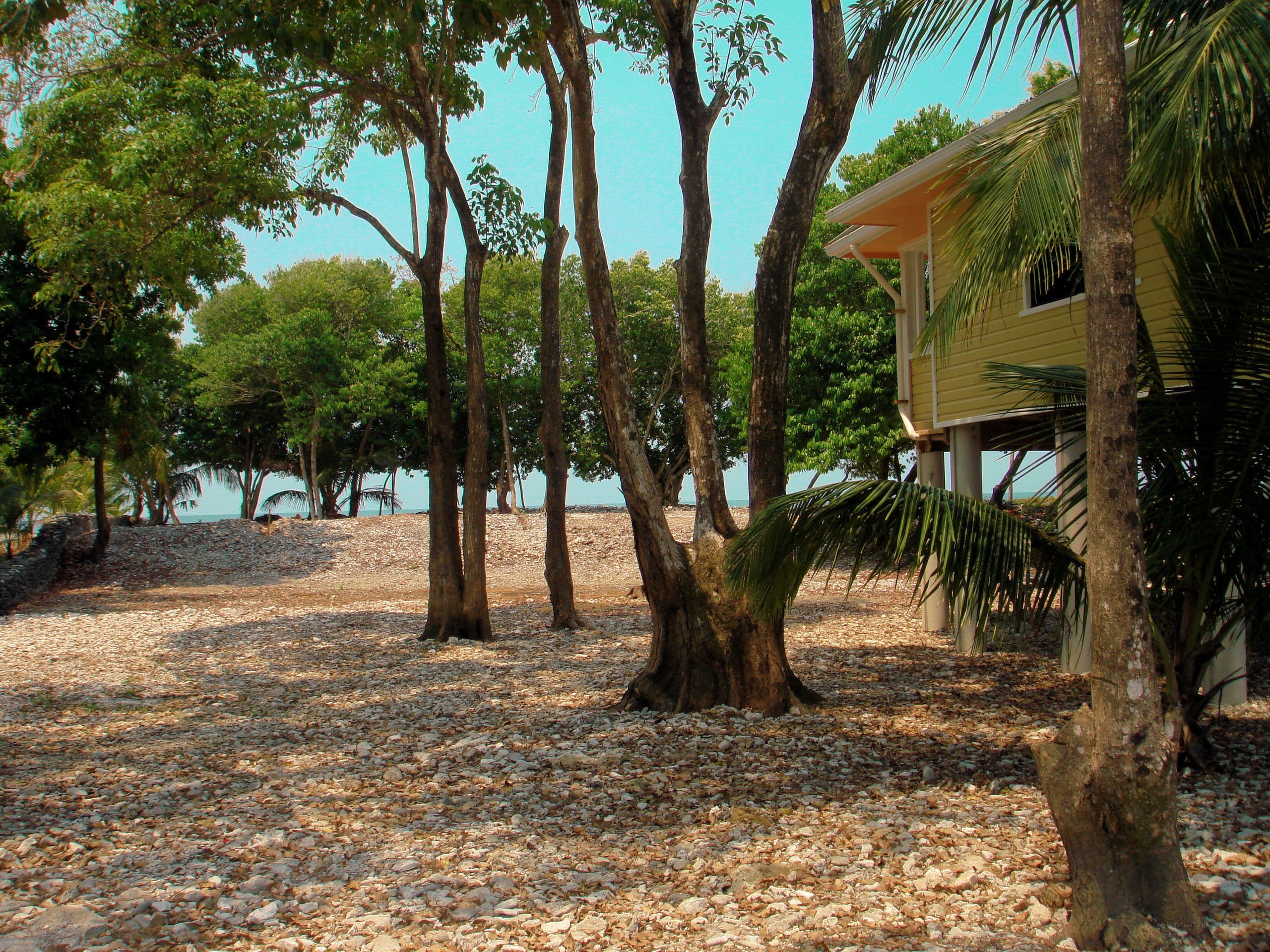 tropical beach with yellow house