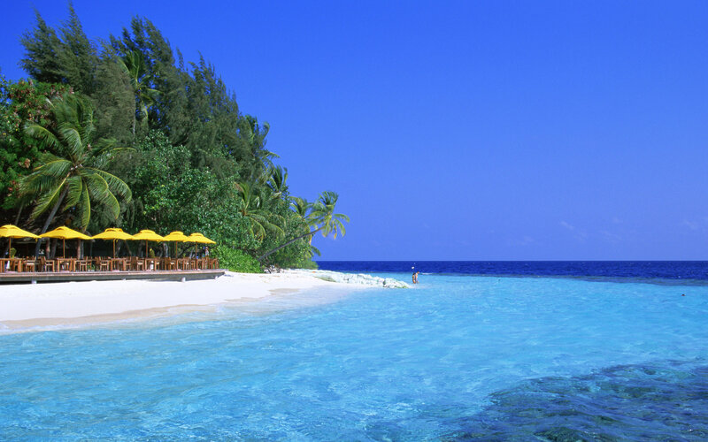 tropical beach with yellow umbrellas