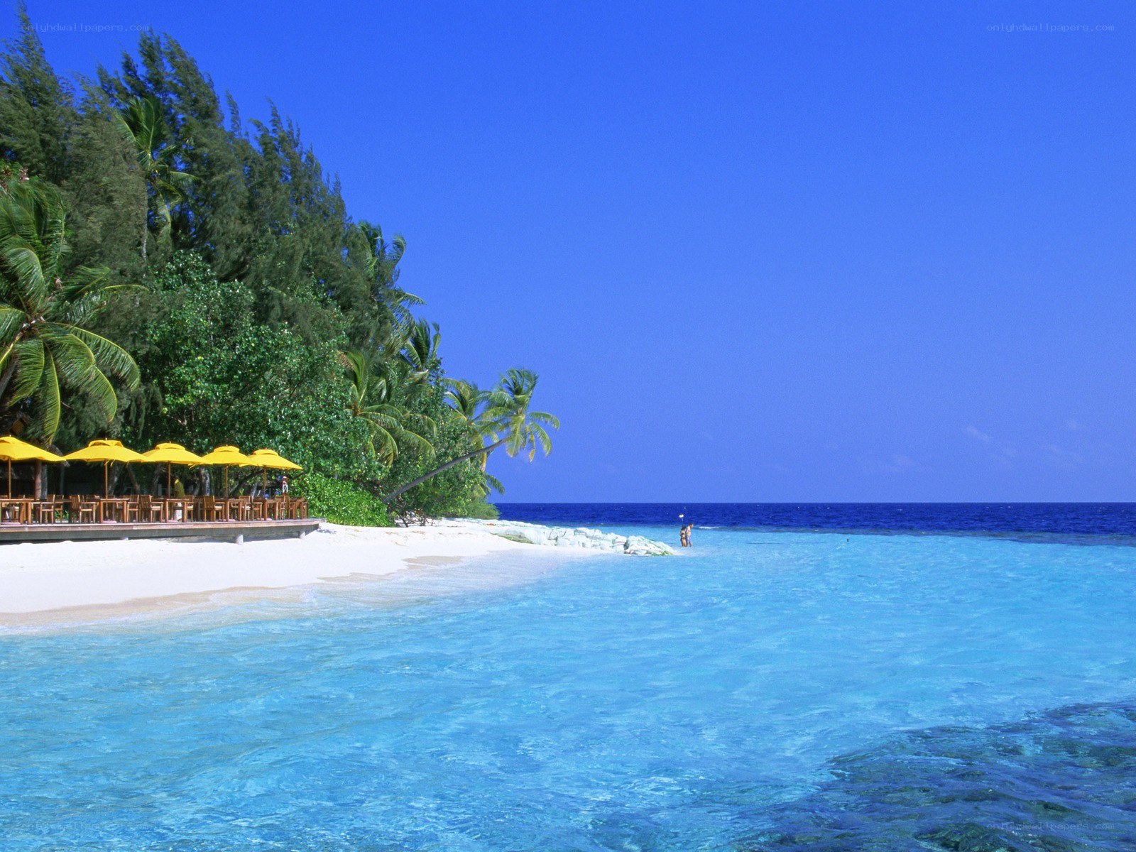 tropical beach with yellow umbrellas