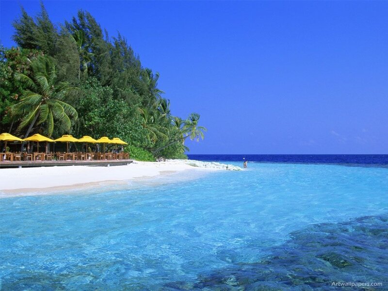 tropical beach with yellow umbrellas