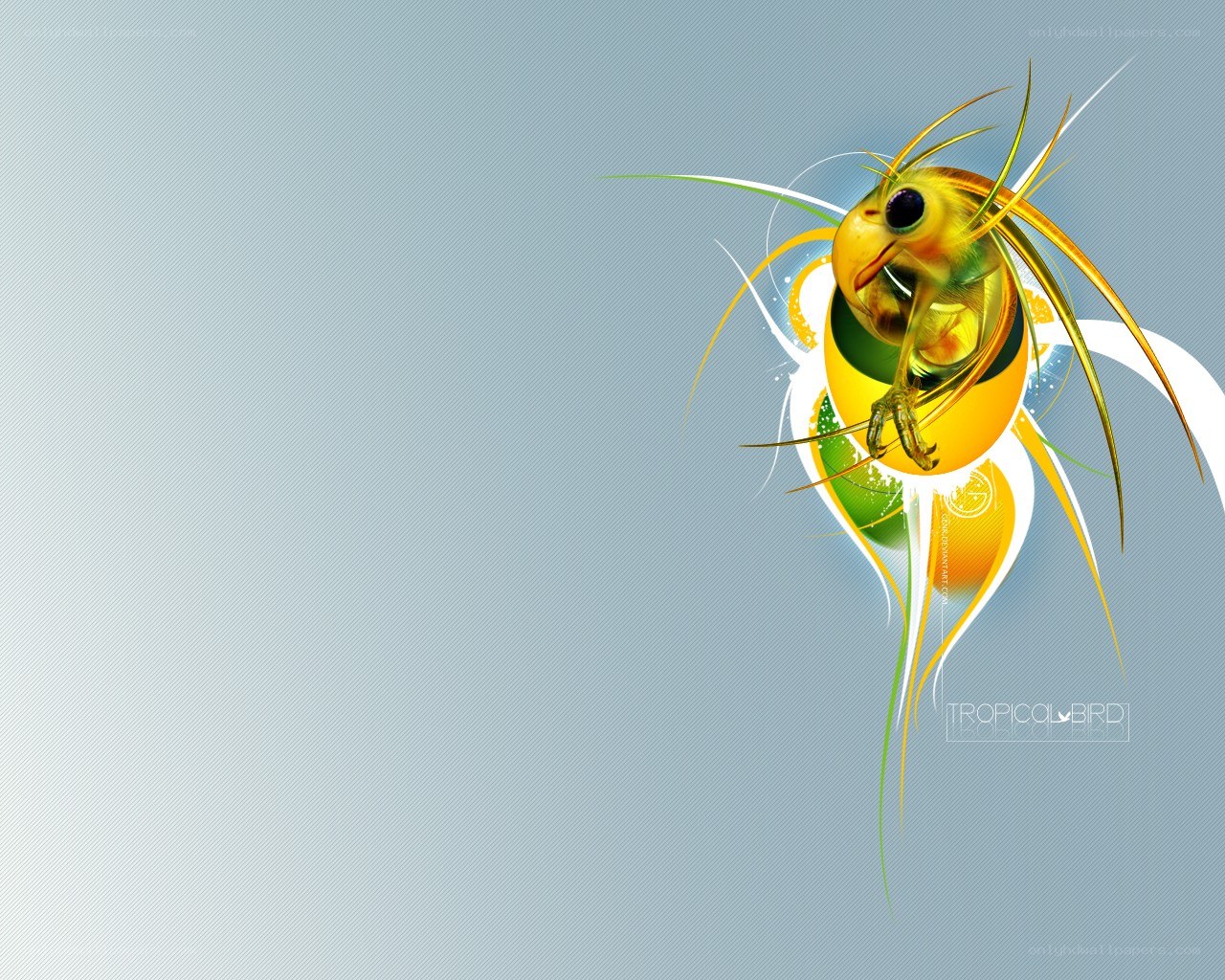 tropical bird digital art
