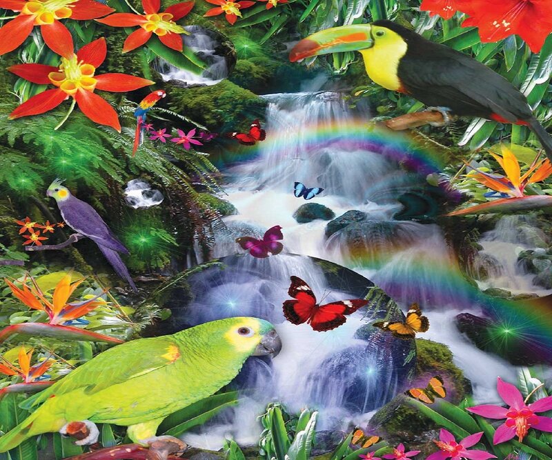 Tropical Birds and Waterfall