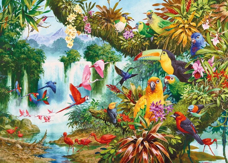 Tropical Birds in Jungle — Green, Vibrant, Afternoon, Illustration, Waterfall