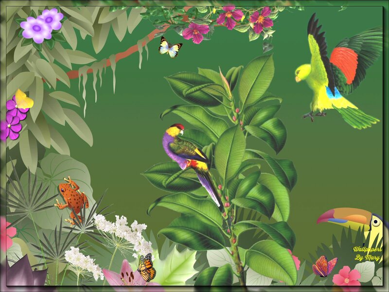 Tropical Birds in Jungle — Green, Vibrant