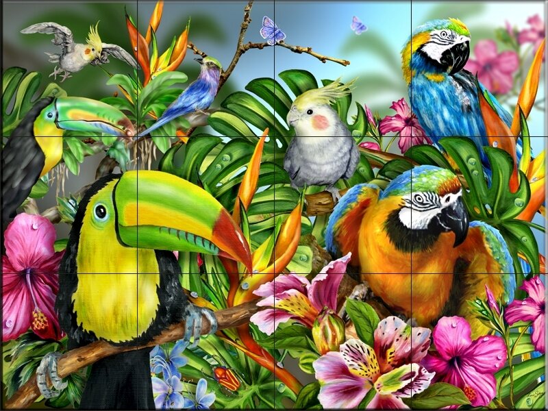 tropical birds in jungle