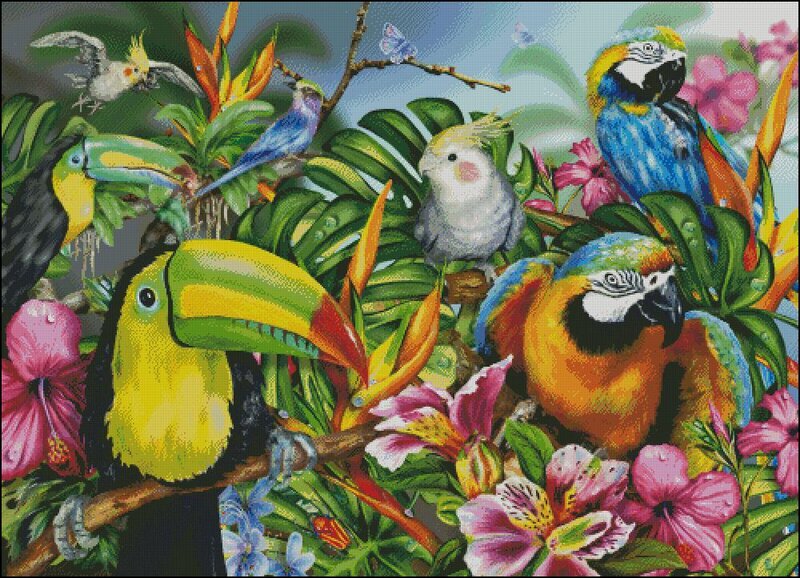 Tropical birds in lush garden