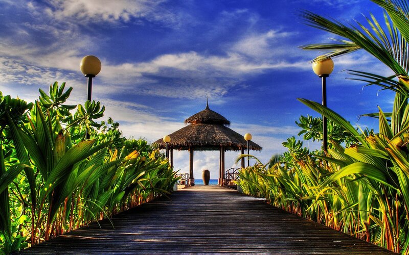 Tropical boardwalk to beach hut