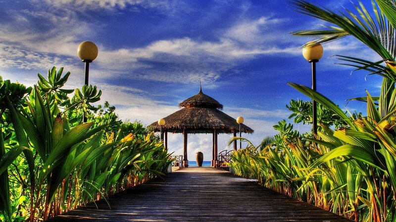 Tropical boardwalk to gazebo