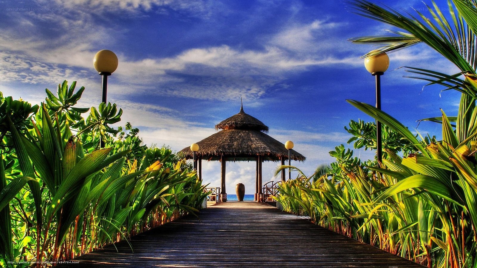 Tropical boardwalk to gazebo