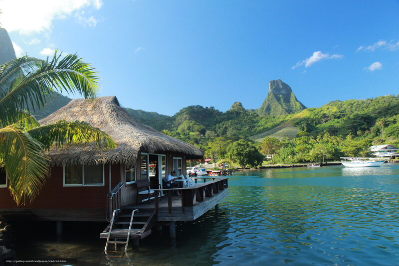 Tropical bungalow by the water