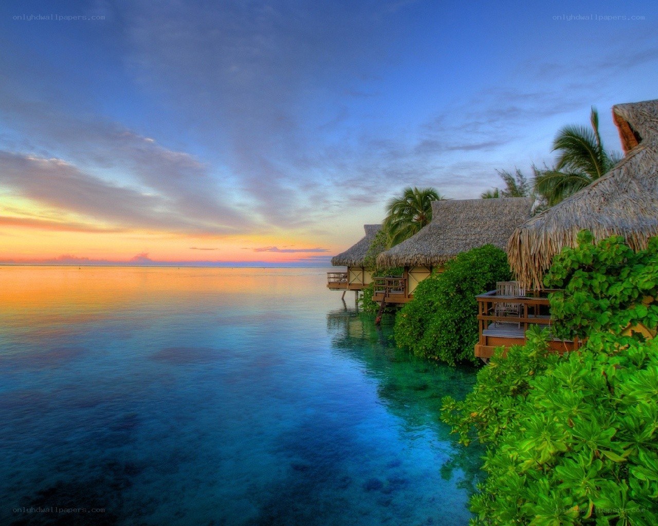Tropical bungalows at sunset