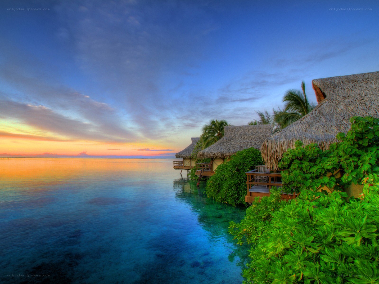 Tropical bungalows at sunset