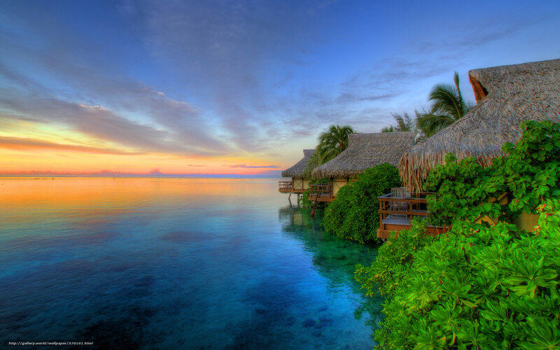 Tropical Bungalows at Sunset — Blue, Serene, Photograph, Palm Trees
