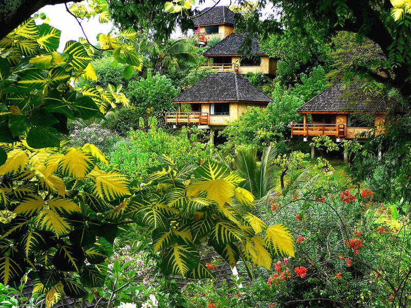 Tropical Bungalows in Jungle