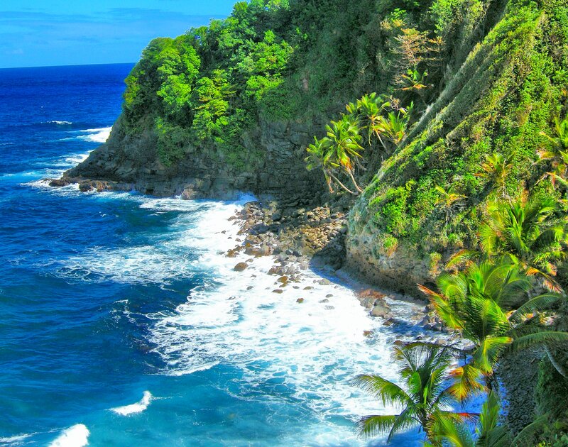 Tropical Cliffside Coast