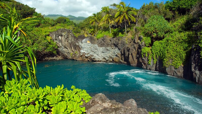tropical coastal cove with turquoise water