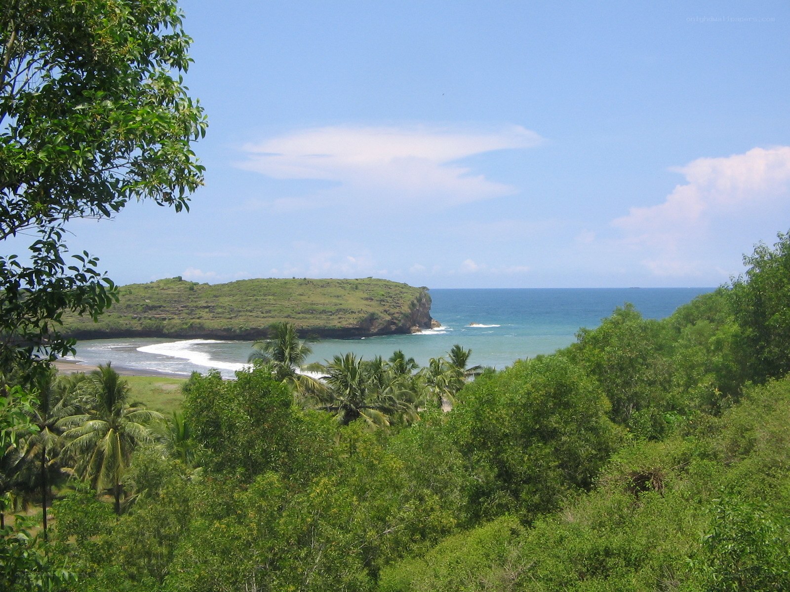 tropical coastal landscape
