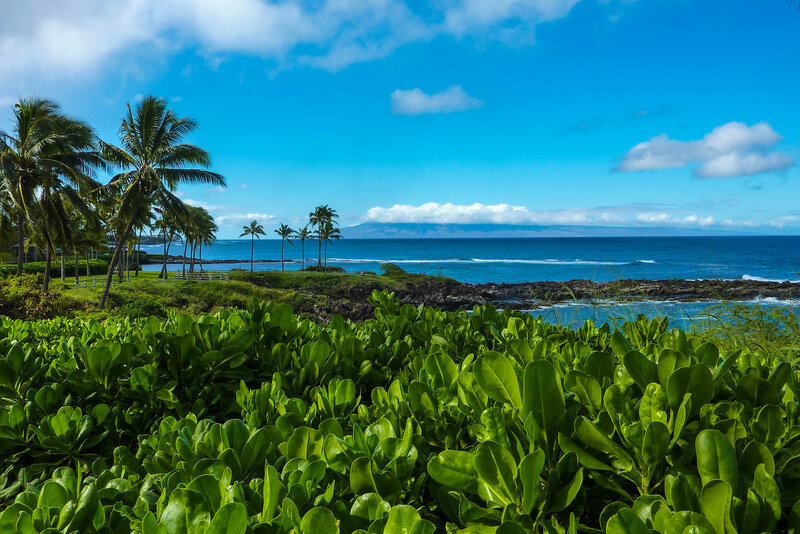 Tropical Coastal Landscape — Blue