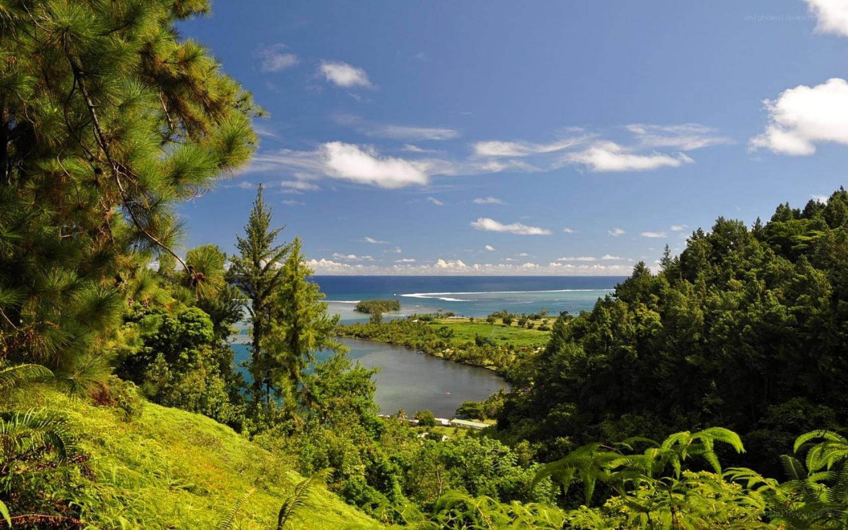 tropical coastal landscape view