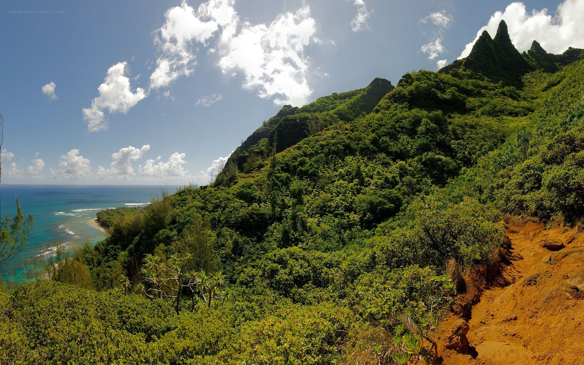 tropical coastal mountain landscape