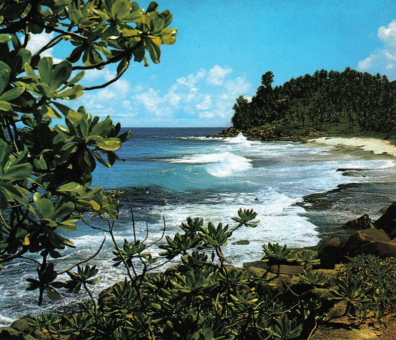 Tropical Coastline — Blue