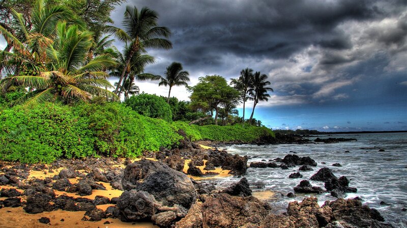 Tropical Coastline — Green, Dramatic, Photograph
