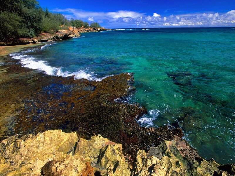 tropical coastline with clear water