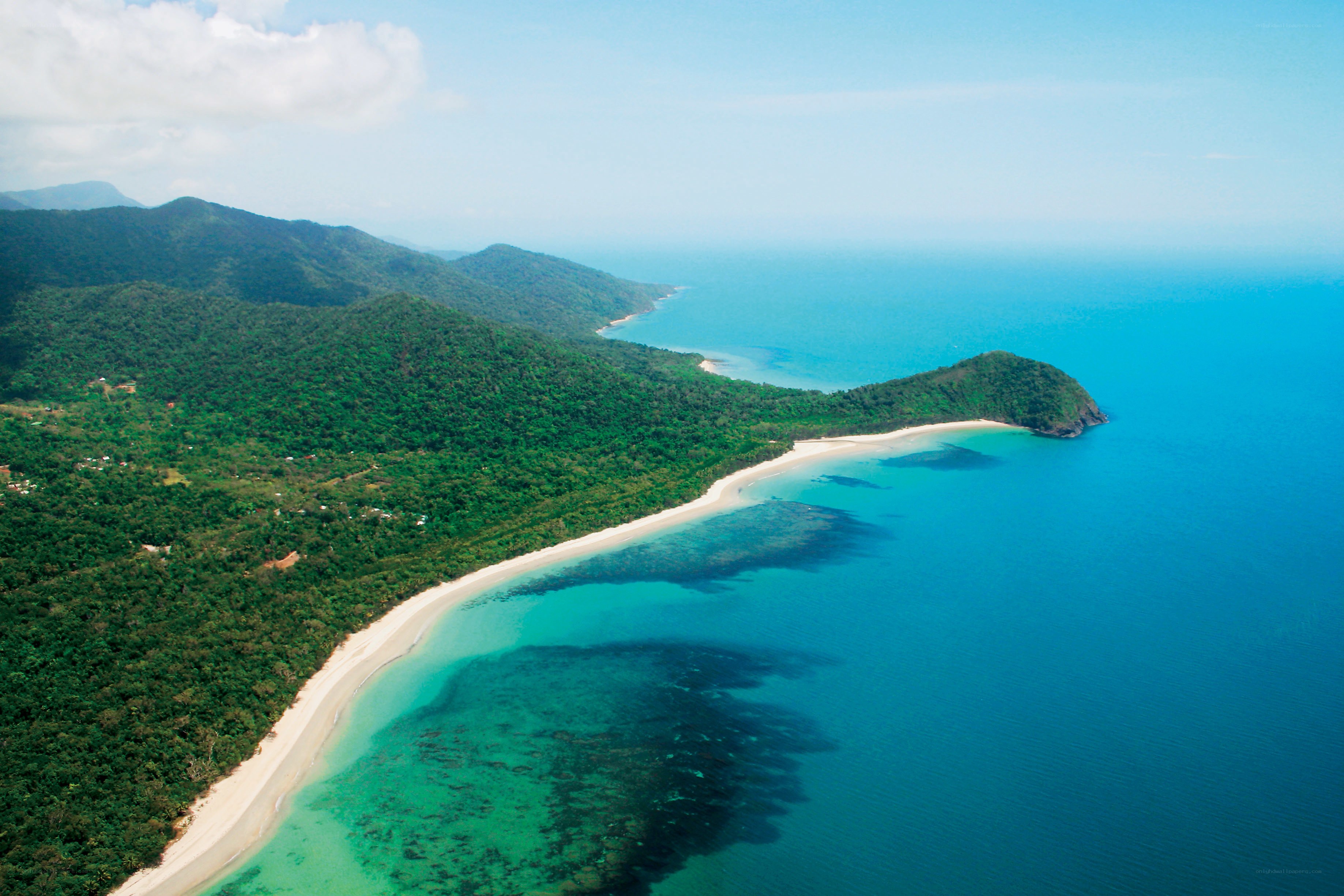 tropical coastline with forest and beach