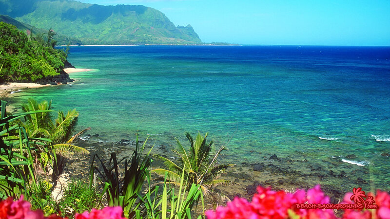 Tropical Coastline with Mountains — Blue
