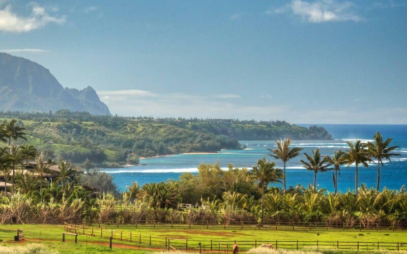 Tropical Coastline with Mountains