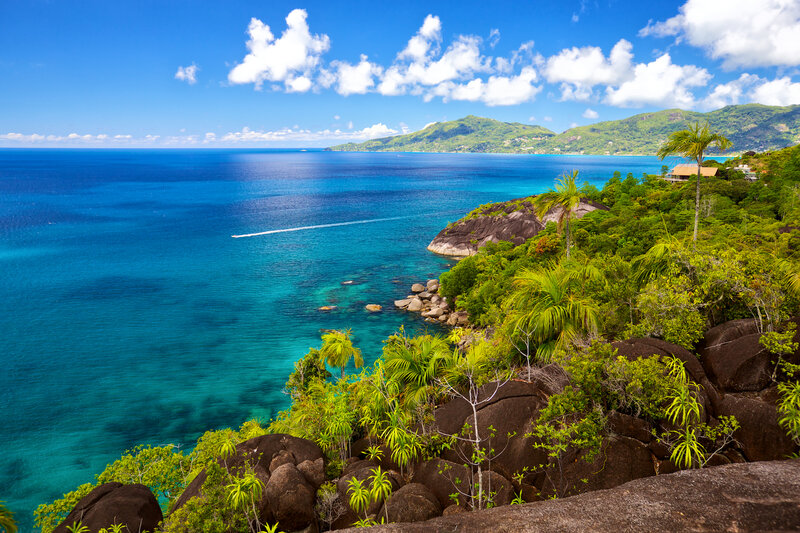 Tropical Coastline with Ocean