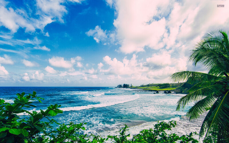 Tropical Coastline with Palm Trees — Blue