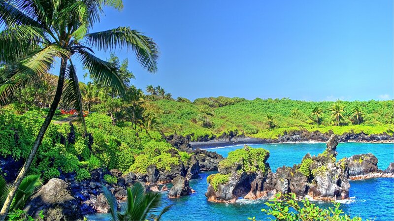 Tropical Coastline with Rocks — Blue, Serene, Afternoon, Photograph, Palm Trees