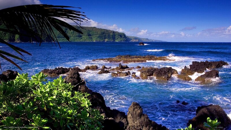 Tropical Coastline with Rocks — Blue, Serene