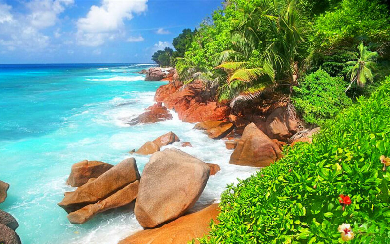 Tropical Coastline with Rocks — Blue