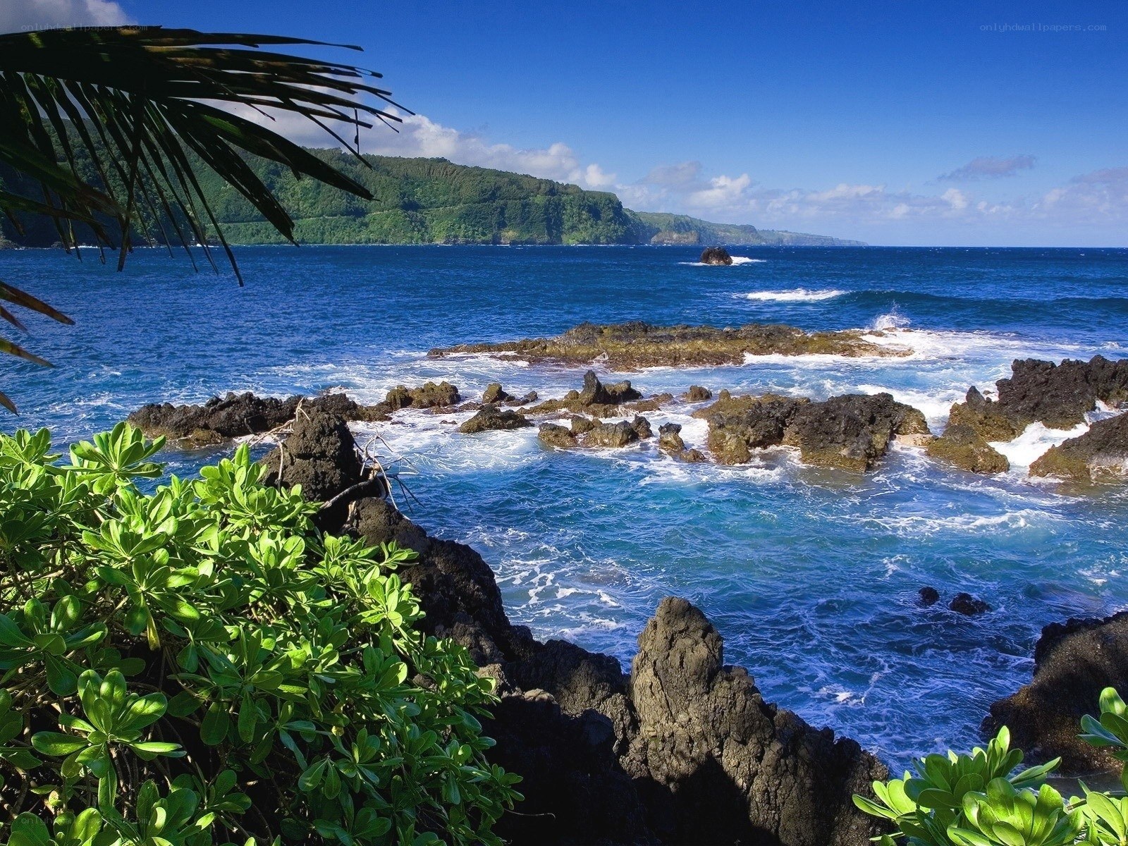 tropical coastline with volcanic rocks