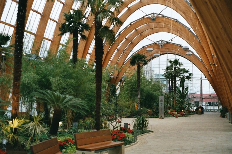 Tropical conservatory with wooden arches
