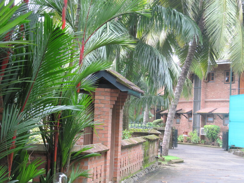 Tropical Courtyard with Palm Trees