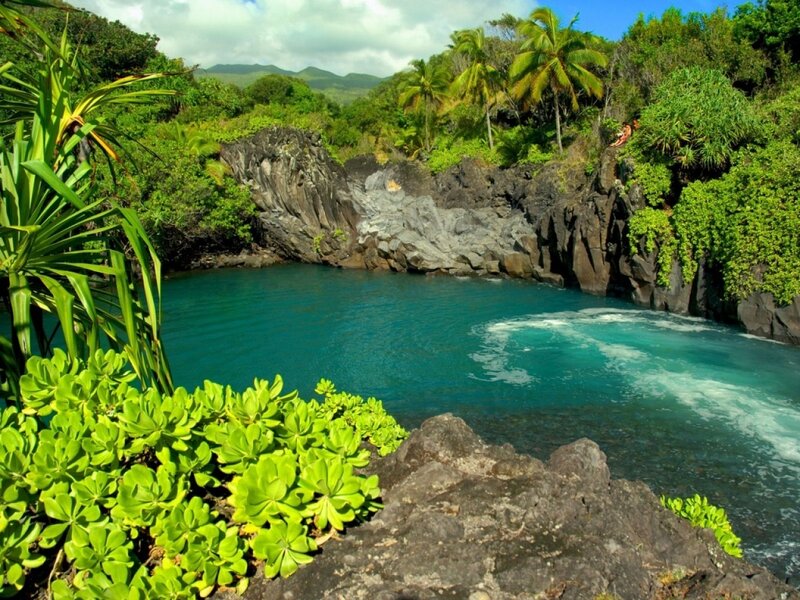 tropical cove with turquoise water