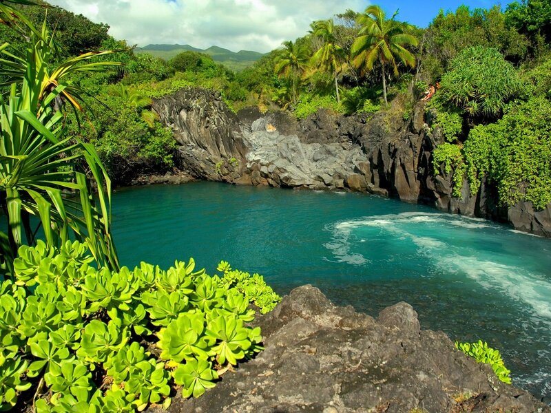 tropical cove with turquoise water