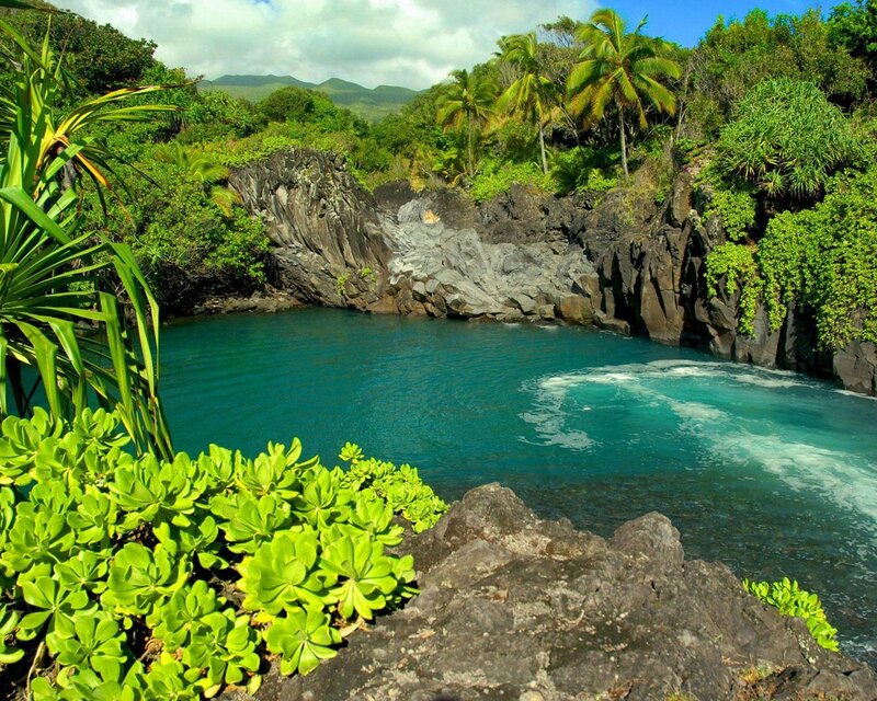 Tropical Cove with Turquoise Water — Green
