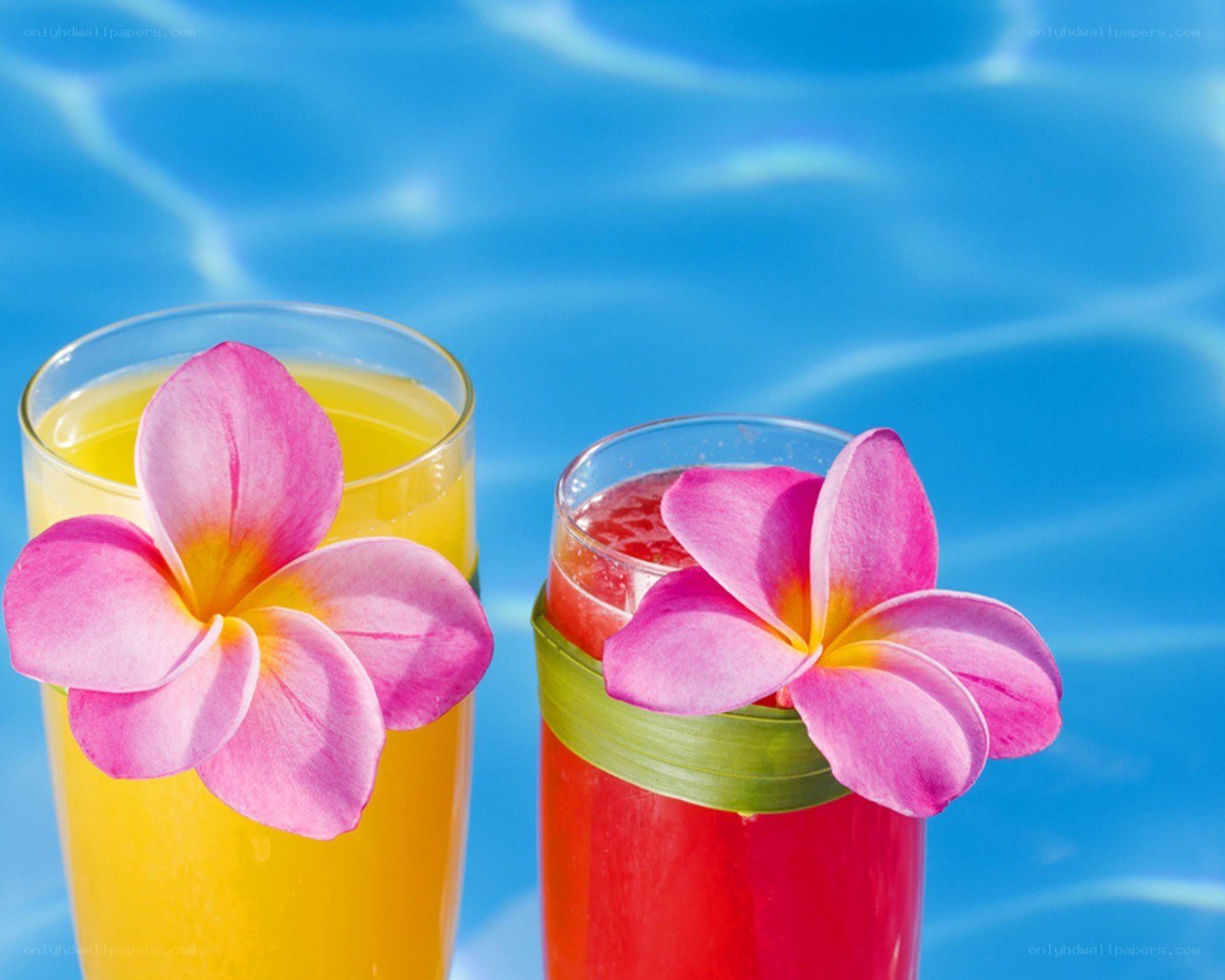 Tropical drinks by the pool