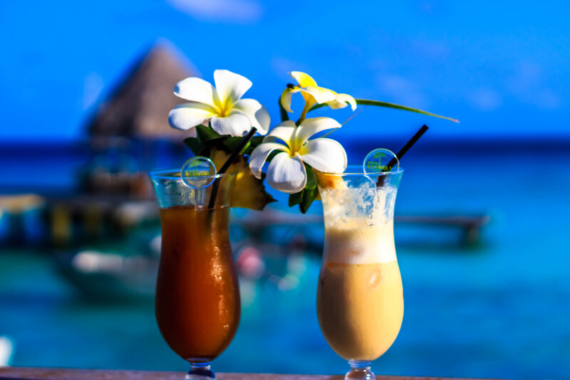 Tropical Drinks with Flowers