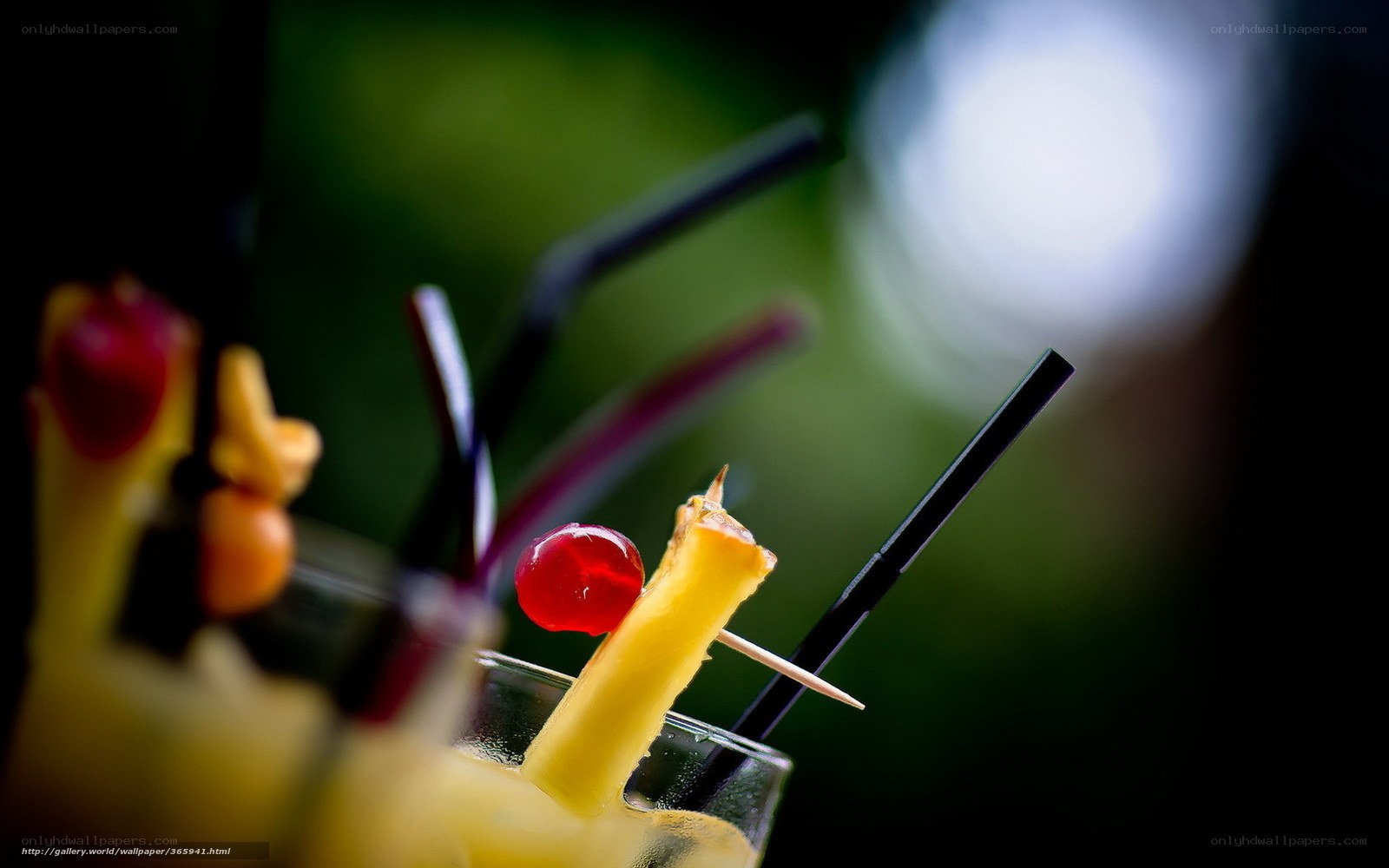 tropical drinks with fruit garnish