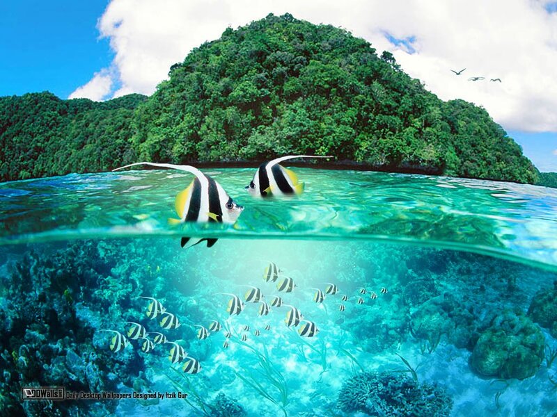 Tropical Fish Near Island — Blue