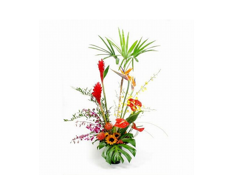 Tropical Flower Arrangement — Green