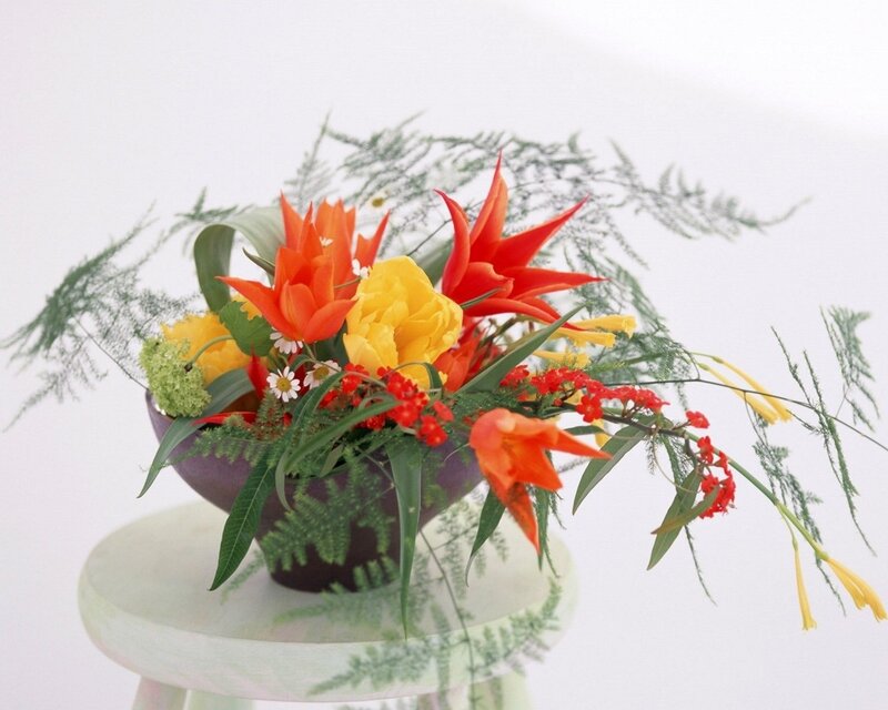 Tropical Flower Arrangement — Red, Vibrant, Photograph