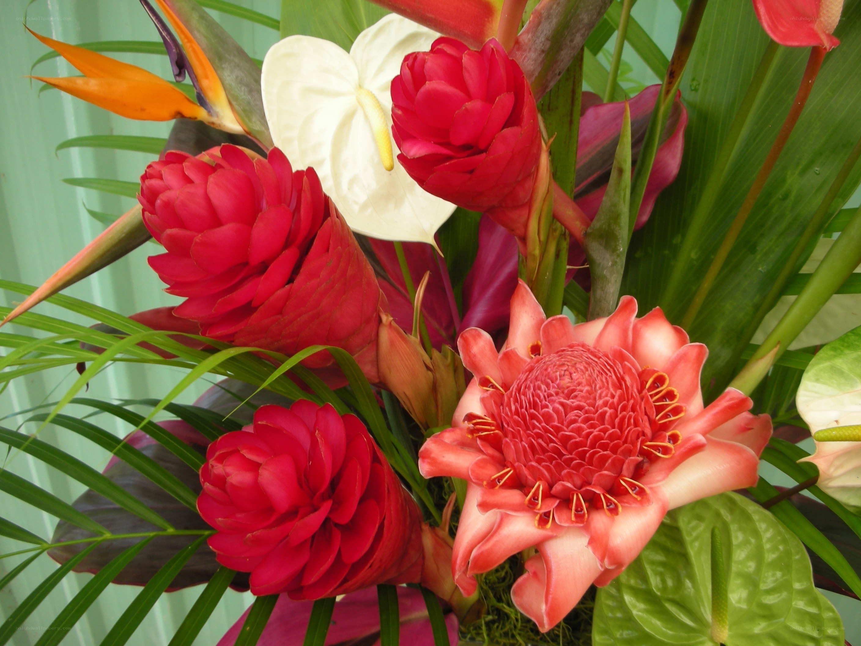 tropical flower arrangement