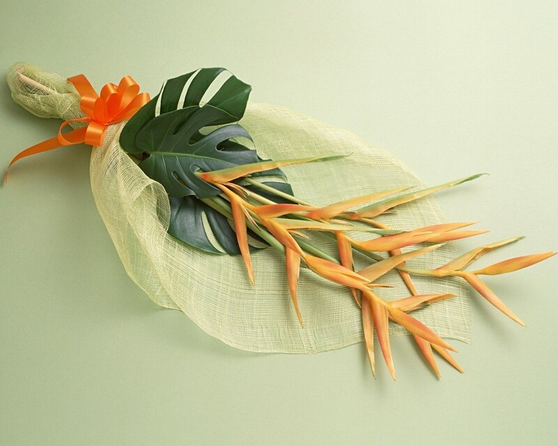 Tropical flower bouquet