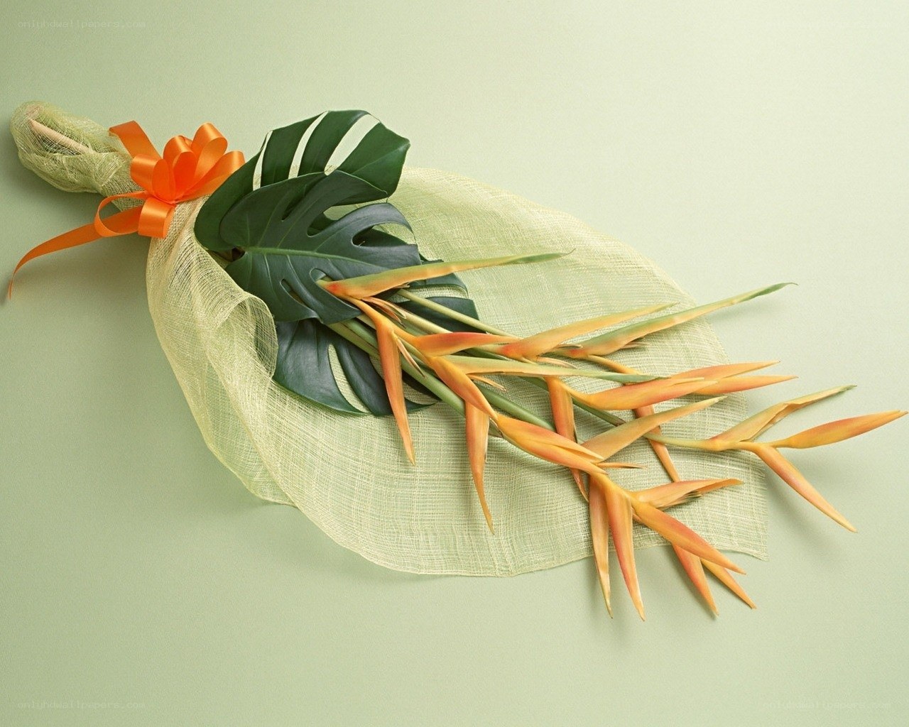 Tropical flower bouquet